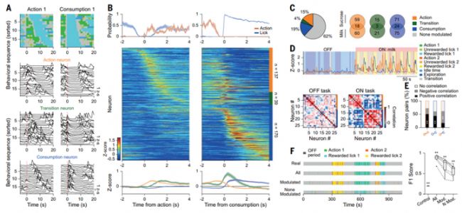 ��ͬ��BLA PNs���a�ض����О��B(t��i)-�ϲ�����