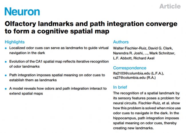 �Ú�ζ��ӛ���Ϳ��ԅR���γɿ��g�؈D-inscopix-�ϲ�����