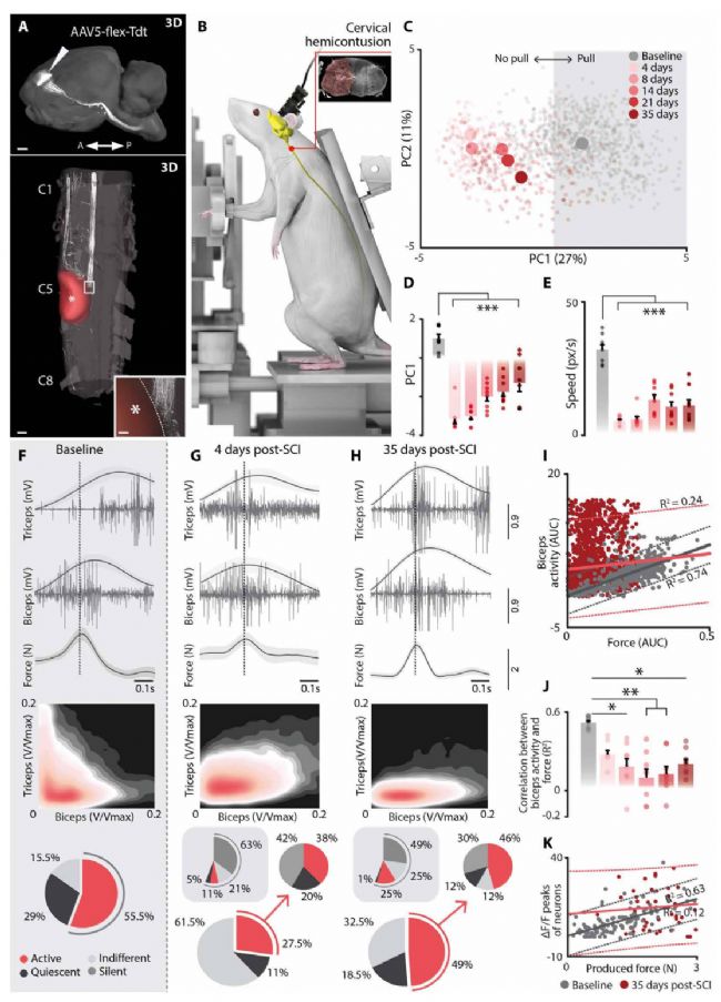 Inscopix���ɻ���}�����@΢�R-�ϲ�����