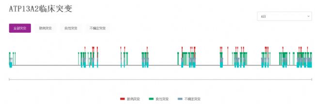 ATP13A2基因敲除小鼠