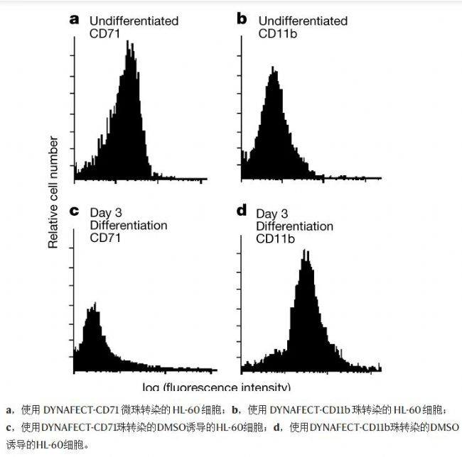 ��(x��)���D(zhu��n)Ⱦ����