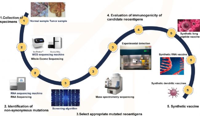 �[��������ԭ