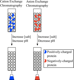 �x�ӽ��Qɫ�V