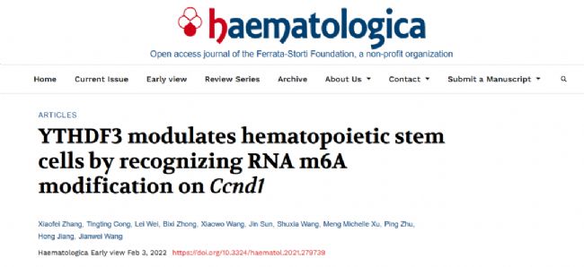 ��Ѫ�ɼ�(x��)��