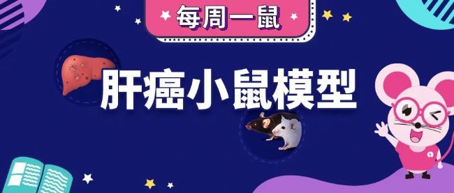 �ΰ�ģ�ͽ��(bi��o)��(zh��n)