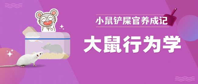 �����О�W(xu��)