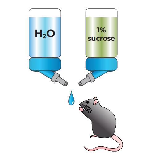 抑郁癥表型研究方案