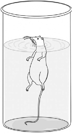 抑郁癥表型研究方案