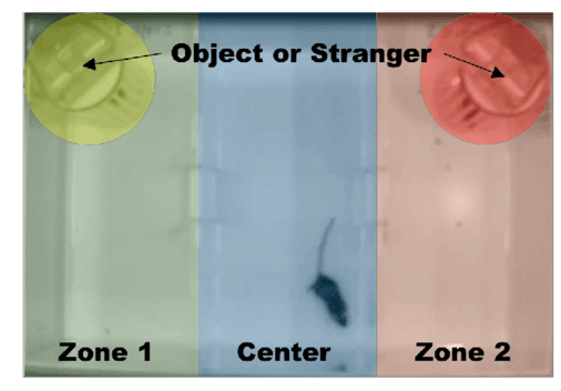 抑郁癥表型研究方案