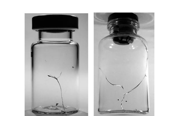 ����ƿ����