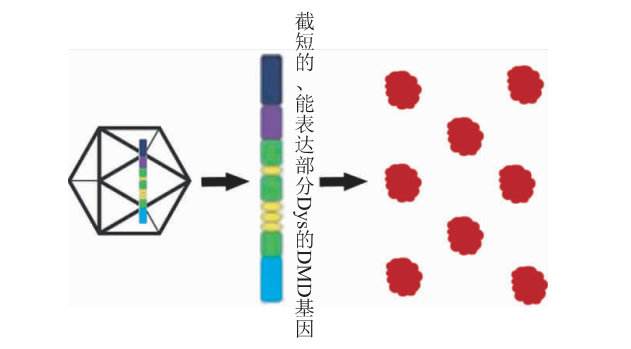 ���ϼ��I(y��ng)�B(y��ng)�����C(j��)���о�