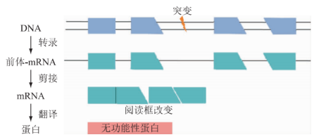 ���ϼ��I(y��ng)�B(y��ng)�����C(j��)���о�