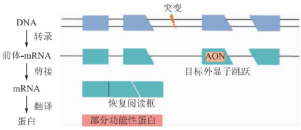 ���ϼ��I(y��ng)�B(y��ng)�����C(j��)���о�