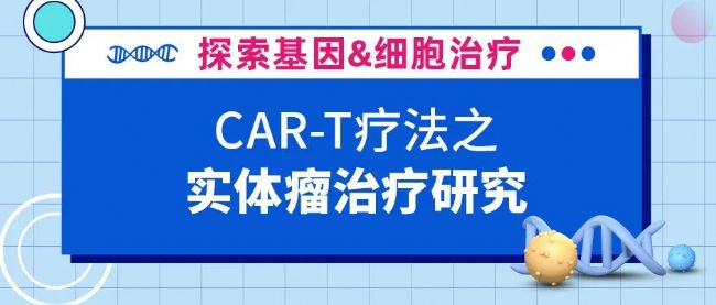 CAR-T細(xì)胞療法在實(shí)體瘤研究
