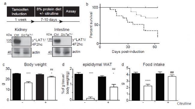 ���x��Ҋ��