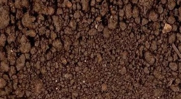 土壤核磁共振無損檢測-水分與孔隙