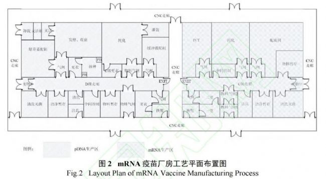 pRNA��mRNA���睍�����a(ch��n)�S������