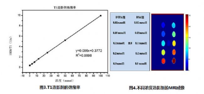 造影劑在磁共振成像的原理及應用