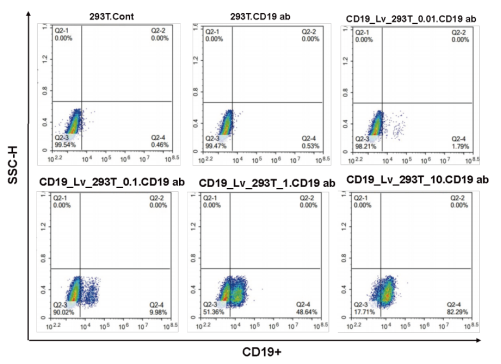 CAR分子設計與慢病毒包裝