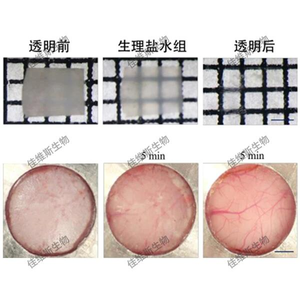 �M��͸�������g(sh��)