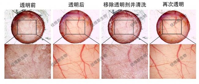 ���؏�(f��)�_�P(gu��n)�Ĺ�͸���B��