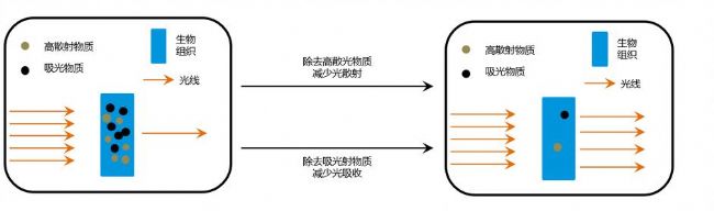 �M��͸�������g(sh��)��ԭ��