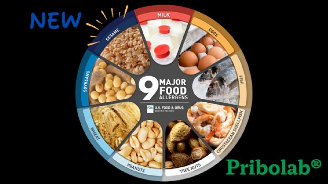 ��I(y��)΢�Ž؈D_168852804390791