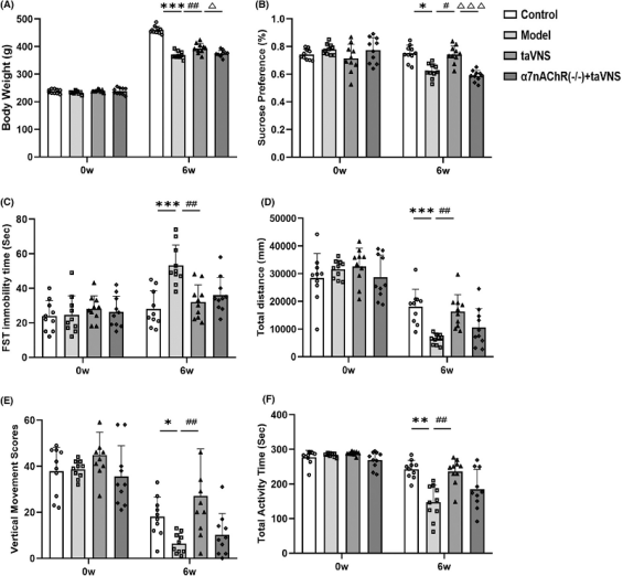 中醫(yī)科學(xué)院團隊解析經(jīng)皮耳迷走神經(jīng)刺激抗抑郁的分子機制