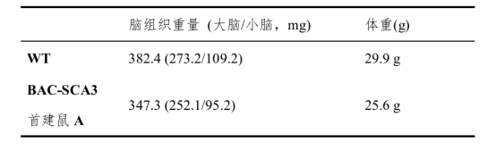 �z����С�X����ʧ�{