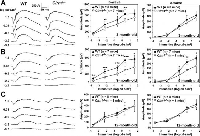 基因治療助力失明者重見光明