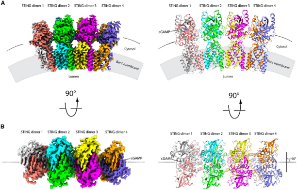 STING�����ÙC(j��)��