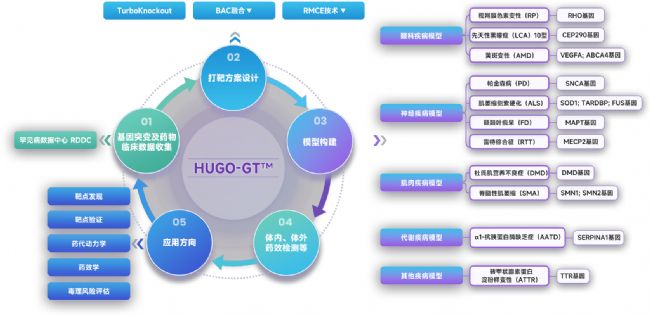基因SMN2如何實(shí)現(xiàn)一場配角式逆襲