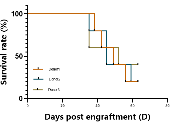 重度免疫缺陷C-NKG