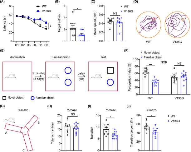 袁增強(qiáng)研究團(tuán)隊(duì)首次證實(shí)抑郁癥可增加阿爾茨海默癥風(fēng)險(xiǎn)