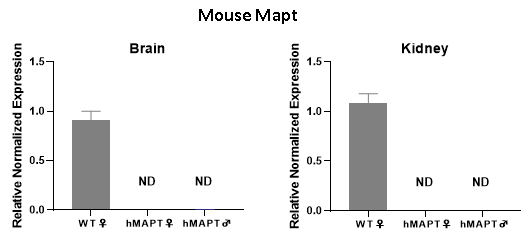 HUGO-GT™全基因組人源化小鼠