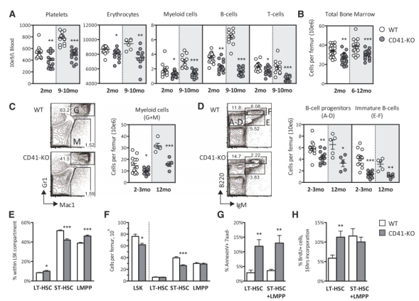 小鼠模型開啟免疫基因治療新思路