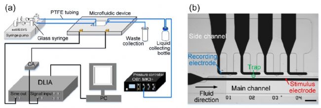 ��\(y��n)ݔ1