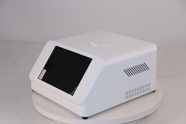 �b�����ӹ�ĸ�O��