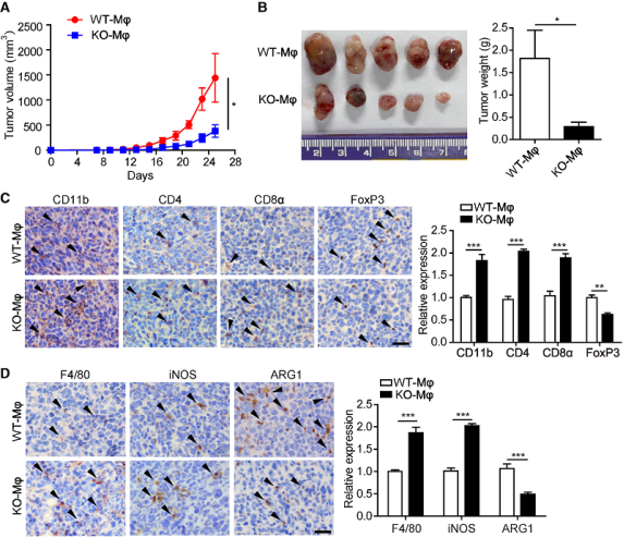 ���ɼ�(x��)��