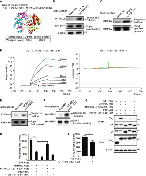 ���ɼ�(x��)��