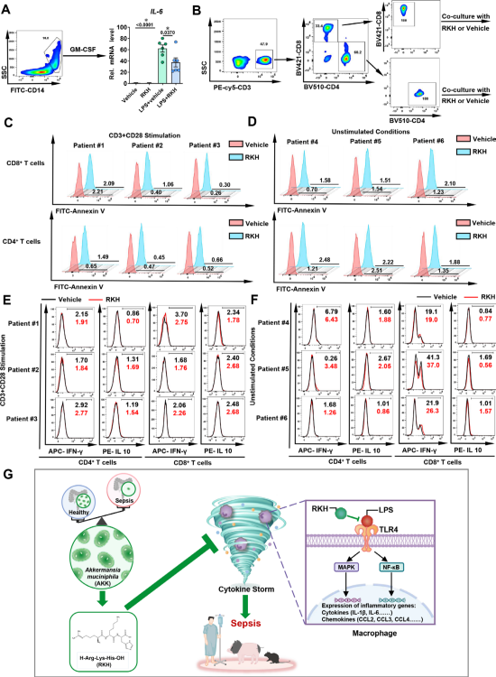 新型三肽對(duì)致死性膿毒癥的保護(hù)作用