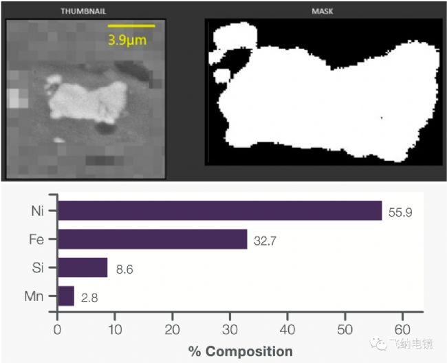 Phenom ParticleX Steel �ԄӲɼ��΂�����w���Ĕ�(sh��)��(j��)ʾ�����D�����w�� Mask �ͳɷֺ�����Ϣ