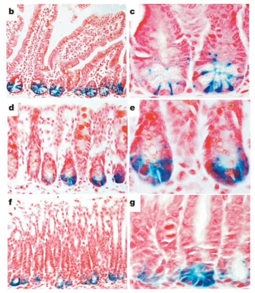 �D2. ����lacZ�z�yLgr5����ı��_(d��)��r[6].png
