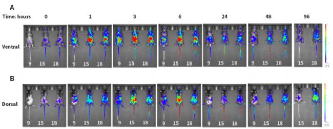 �D4. ���w����ʾۙIl1a��(x��)�����ӵı��_(d��)��.png