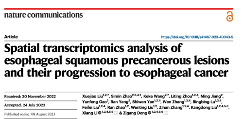 ʳ���[����Ƥ��ǰ��׃