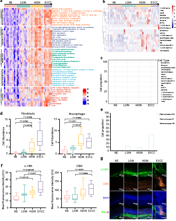 ʳ���[����Ƥ��ǰ��׃