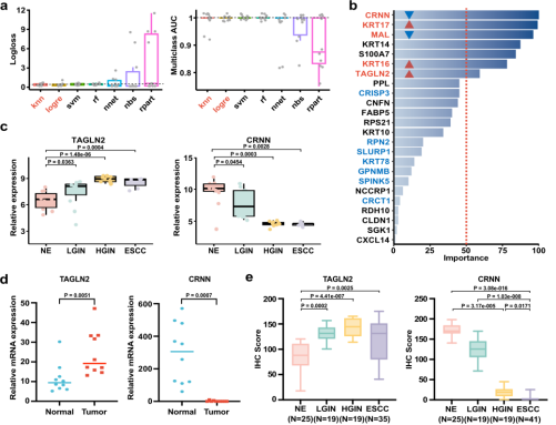 ʳ���[����Ƥ��ǰ��׃