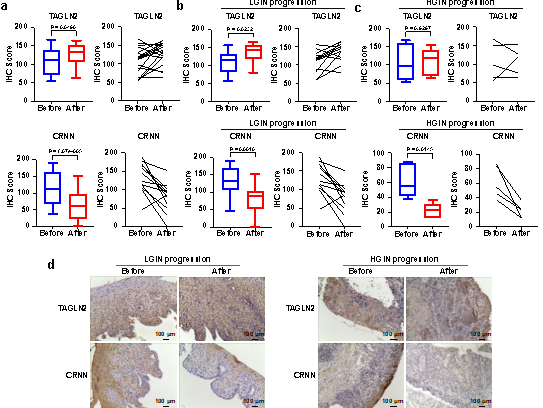 ʳ���[����Ƥ��ǰ��׃