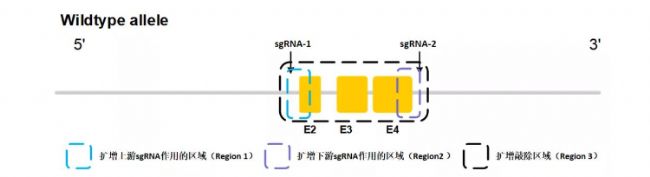 �����ó���(x��)����(g��u)��