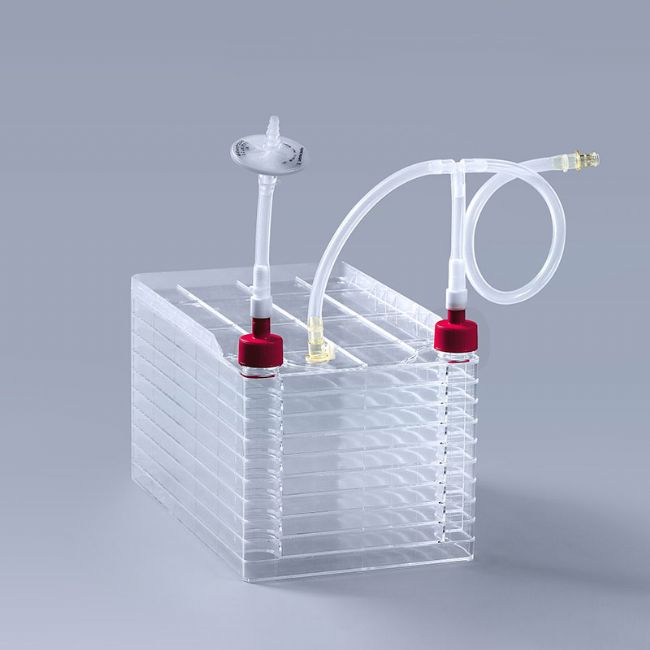 ��(x��)�����S